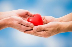 Vận động sáng tác ca khúc vì nạn nhân chất độc da cam